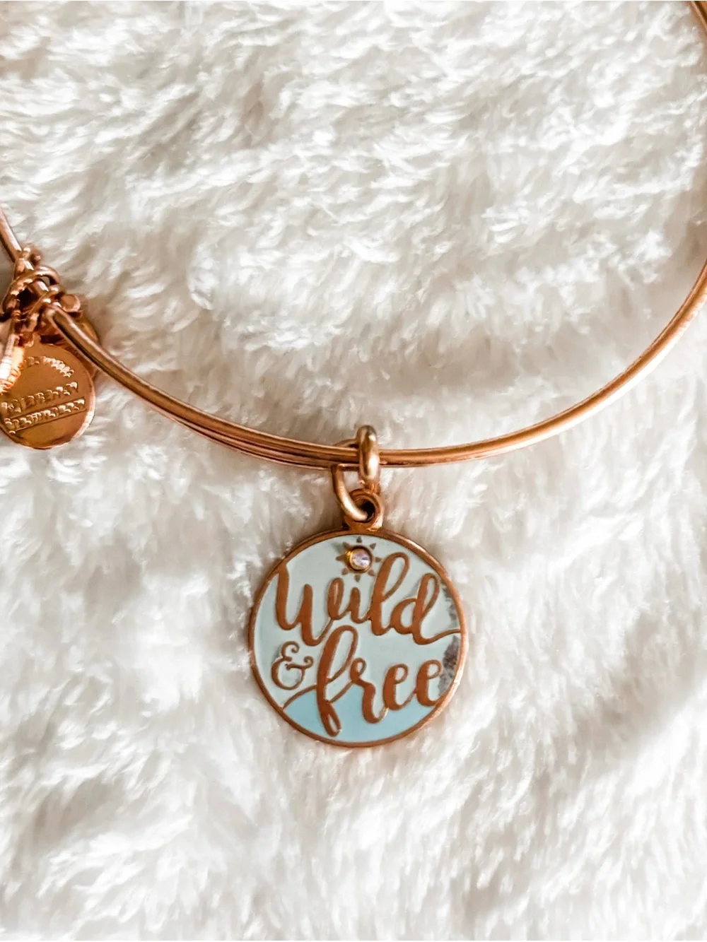 Alex and Ani 'Wild & Free' Charm Bangle Bracelet - Rose Gold